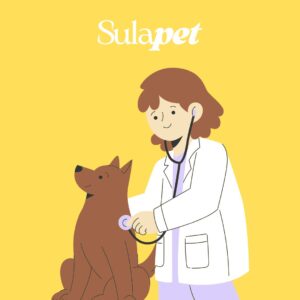 SULAPET